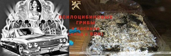 ГАЛЛЮЦИНОГЕННЫЕ ГРИБЫ Лабытнанги