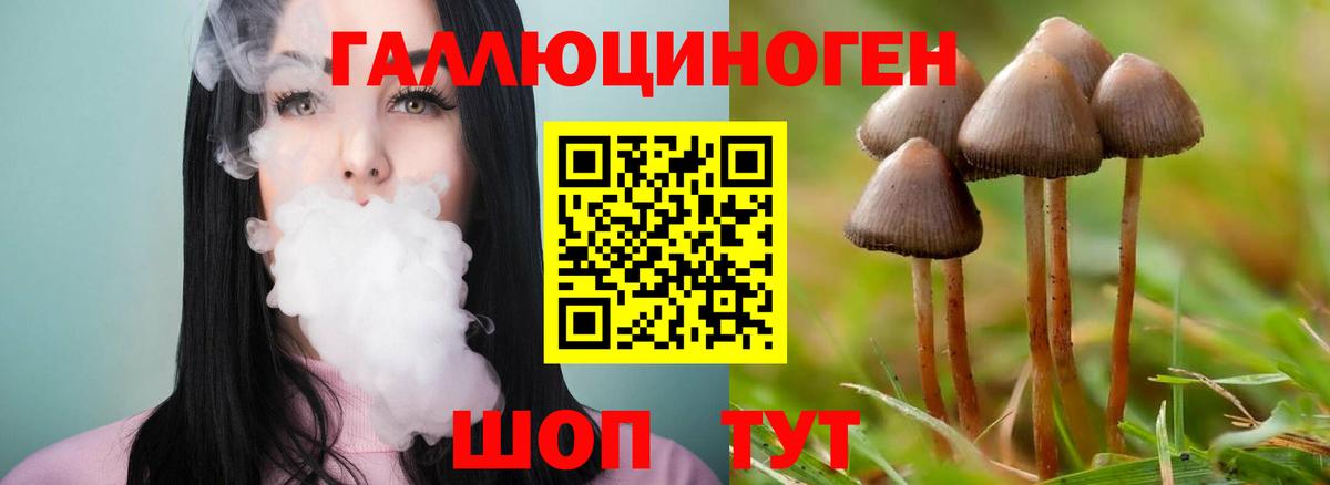 Саранск  Галлюциногенные грибы GOLDEN TEACHER  Вход с VPN 
